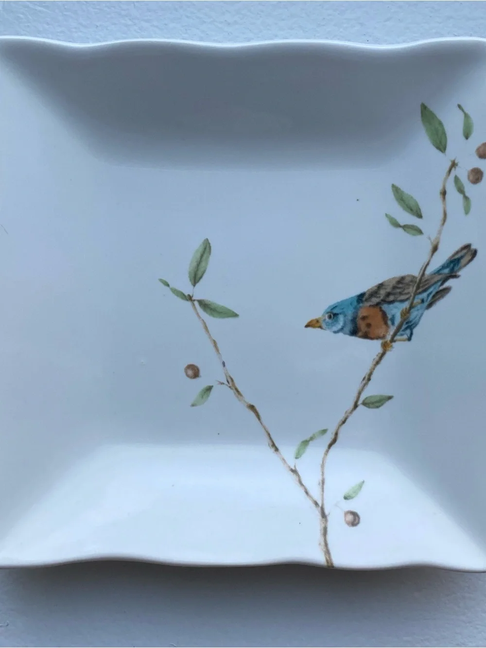 Bird Trinket Dish 222 Fifth EARLY BIRD Appetizer Plate Songbird 5.25